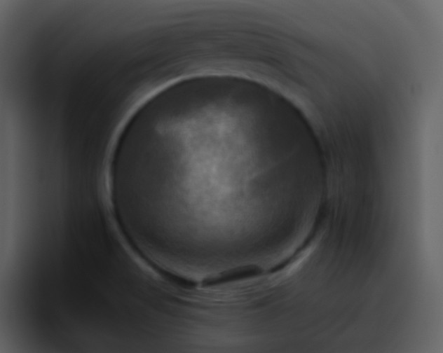 X0000095681517200801081218