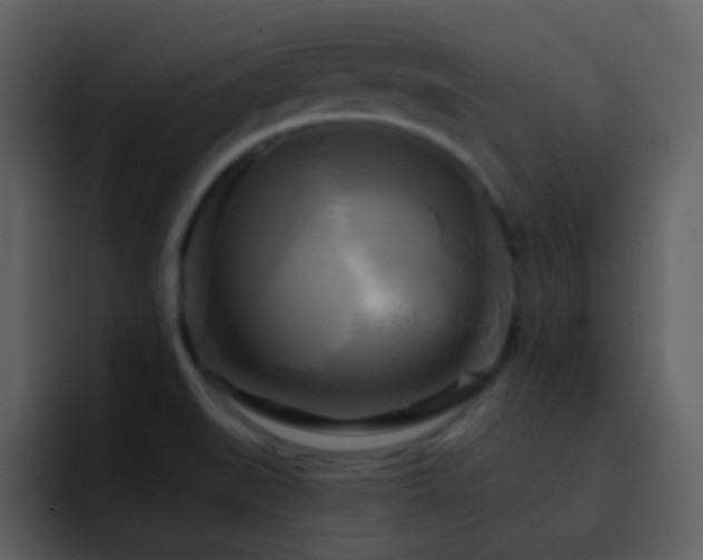 X0000095681519200801081218