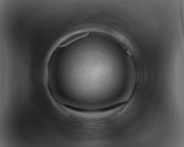 X0000095681520200801081218