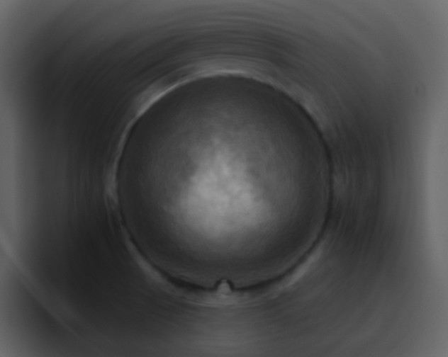 X0000095681521200801081218