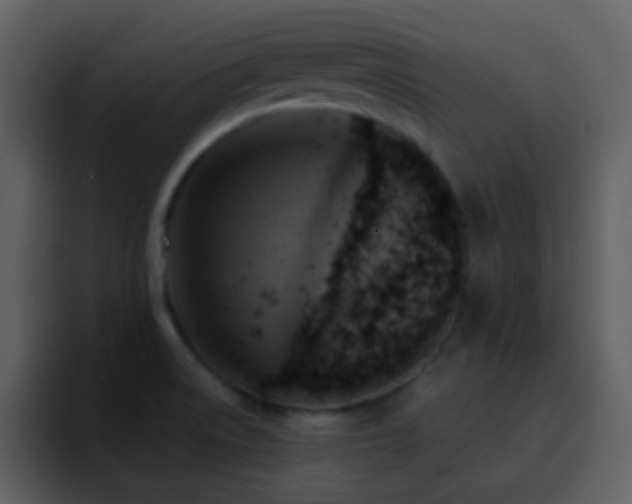 X0000095681522200801081218