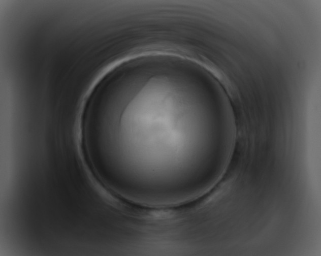 X0000095681523200801081219