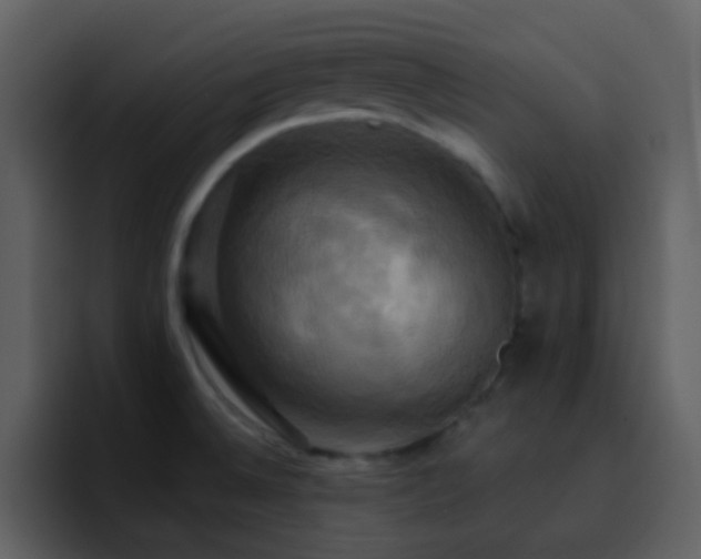 X0000095681524200801081219