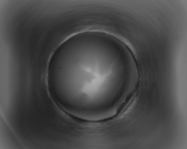 X0000095681525200801081219