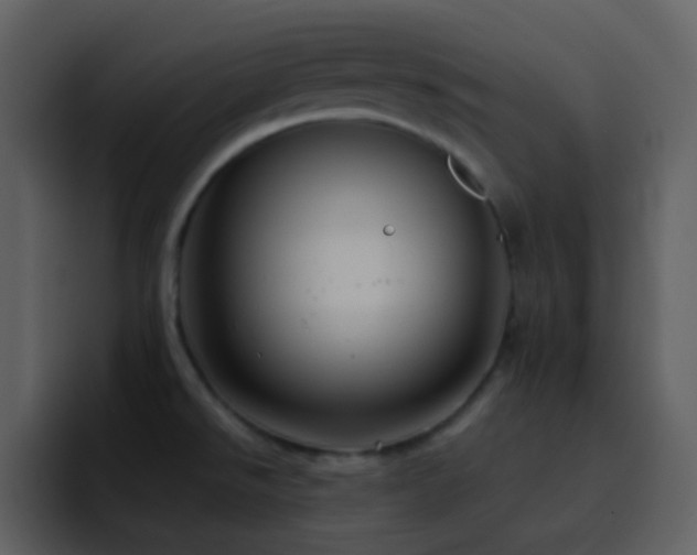 X0000095681526200801081219