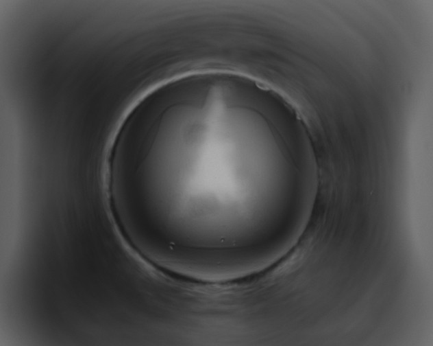 X0000095681527200801081219