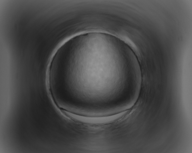 X0000095681528200801081219