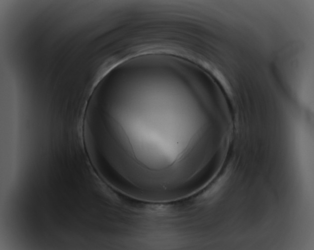 X0000095681529200801081219
