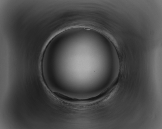 X0000095681530200801081219
