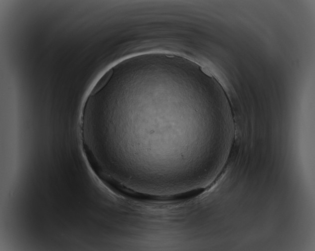 X0000095681532200801081219