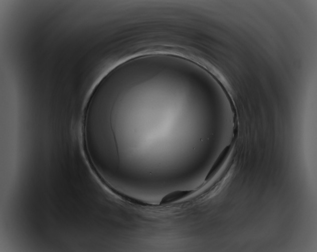 X0000095681533200801081219