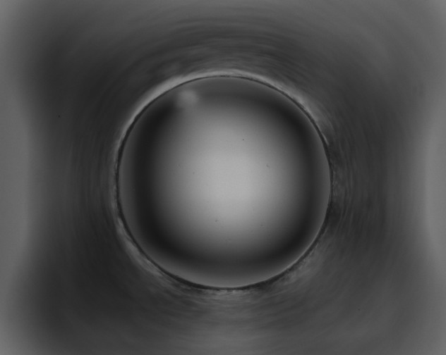 X0000095681534200801081219