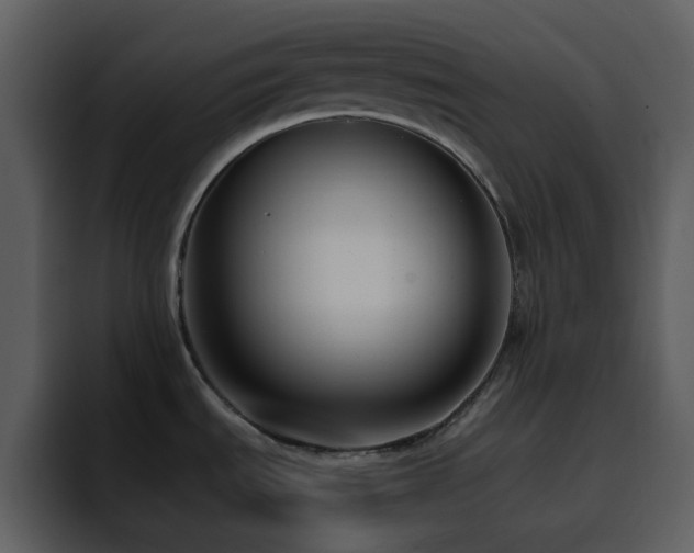 X0000095681535200801081219