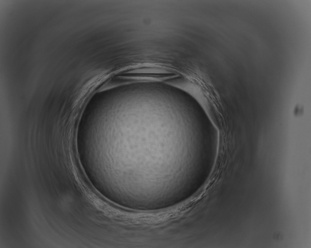 X0000095680001200801151136