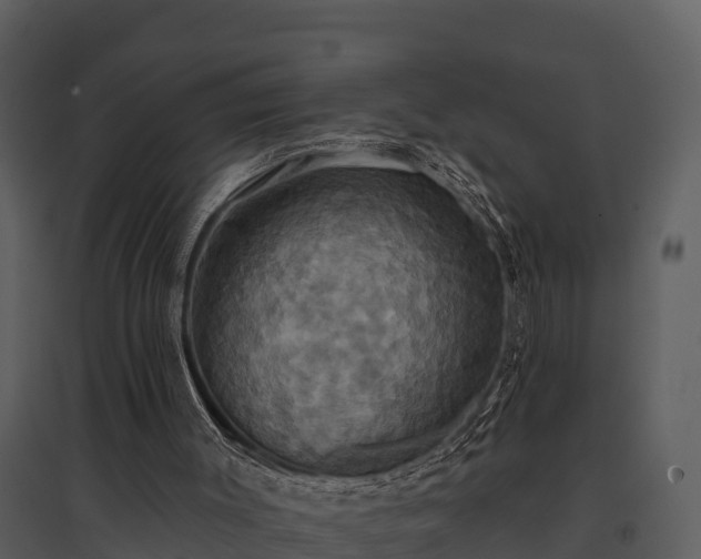 X0000095680003200801151136