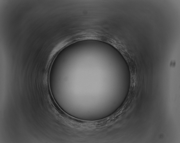 X0000095680004200801151136