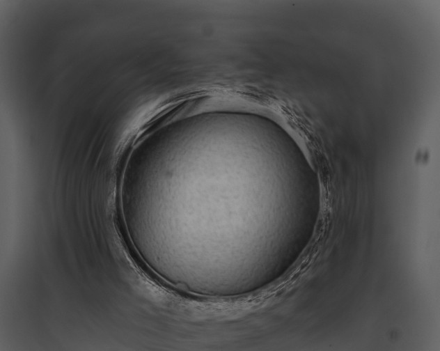 X0000095680005200801151136