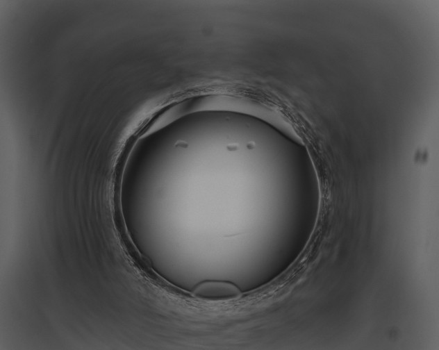 X0000095680006200801151136