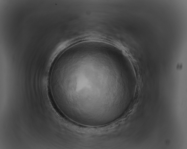 X0000095680007200801151136