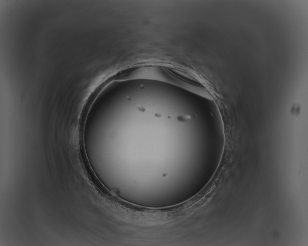 X0000095680008200801151136