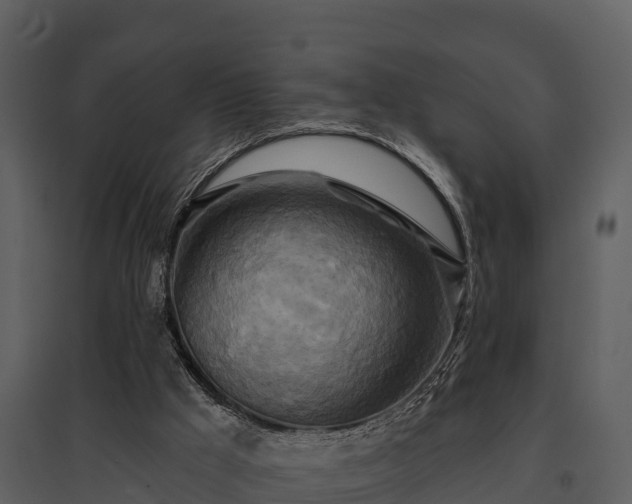 X0000095680009200801151136