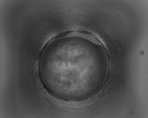 X0000095680010200801151136