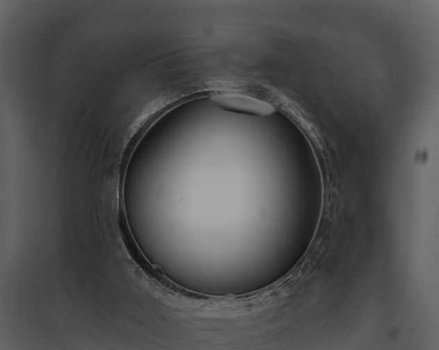 X0000095680011200801151136