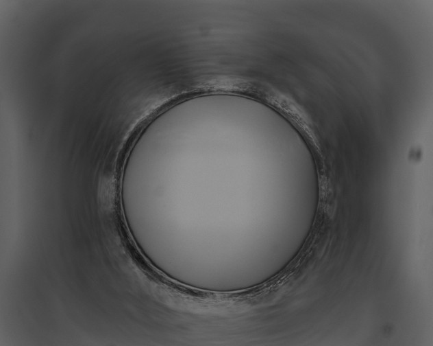 X0000095680012200801151136
