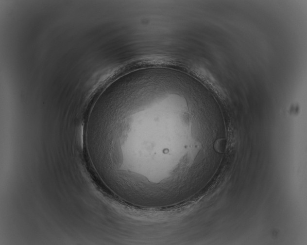X0000095680014200801151136