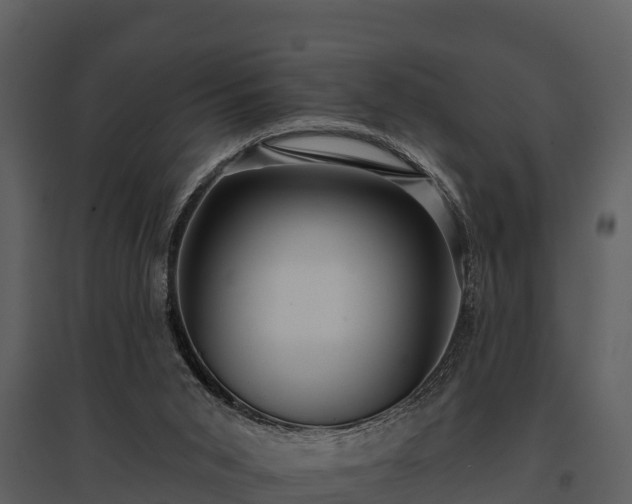X0000095680015200801151136