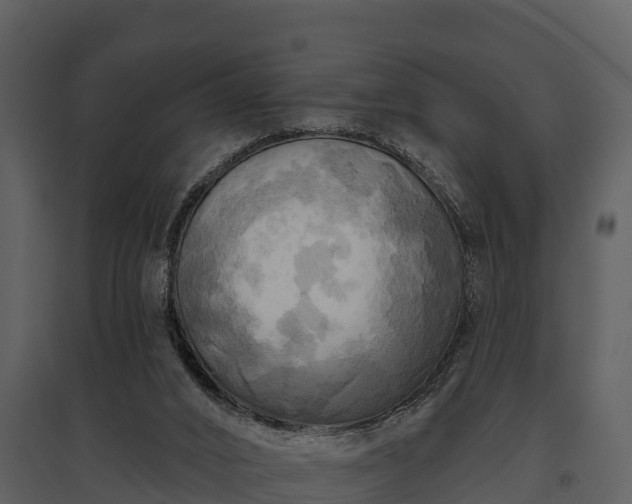 X0000095680016200801151136