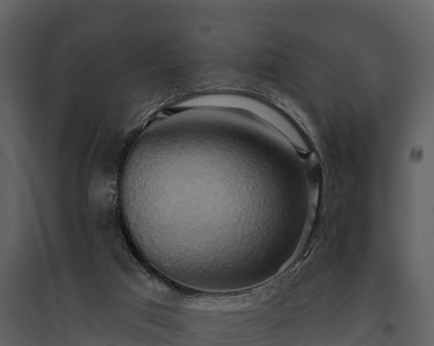 X0000095680017200801151136