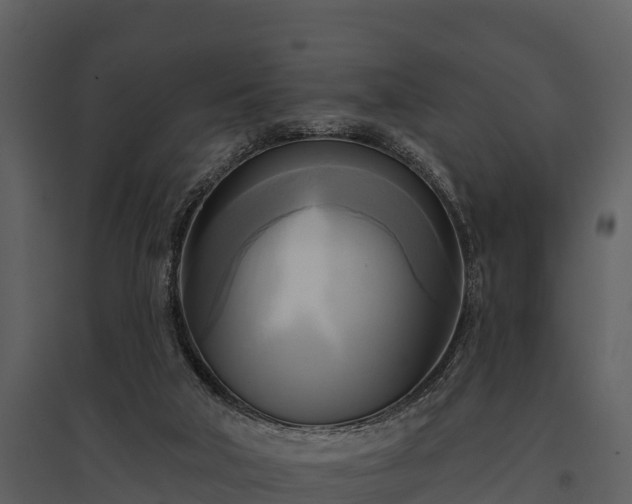 X0000095680018200801151136