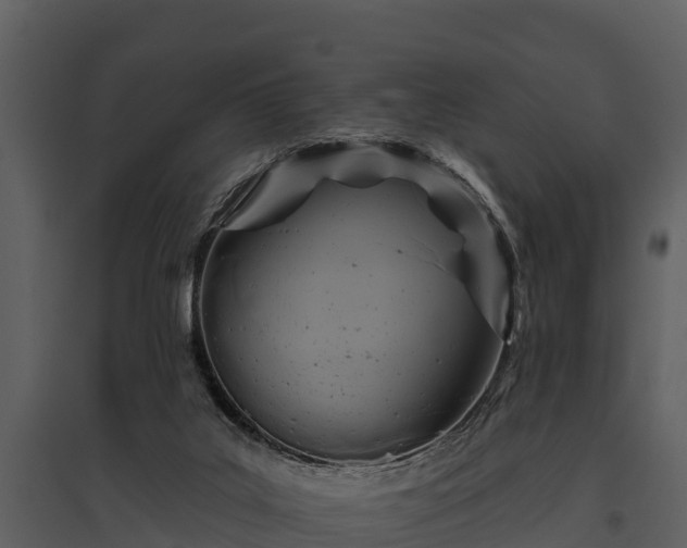 X0000095680019200801151136