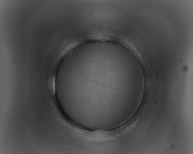 X0000095680020200801151136