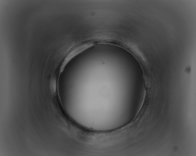 X0000095680021200801151136