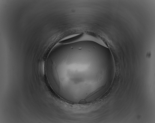 X0000095680022200801151136