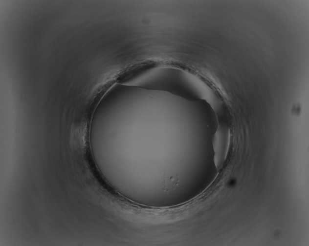 X0000095680023200801151136