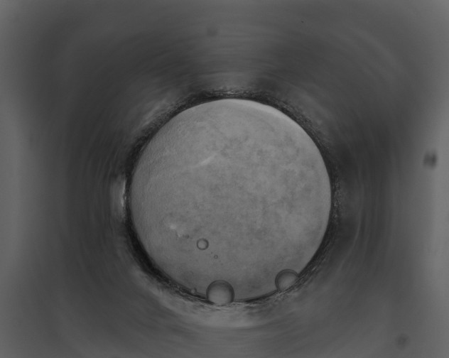 X0000095680024200801151136