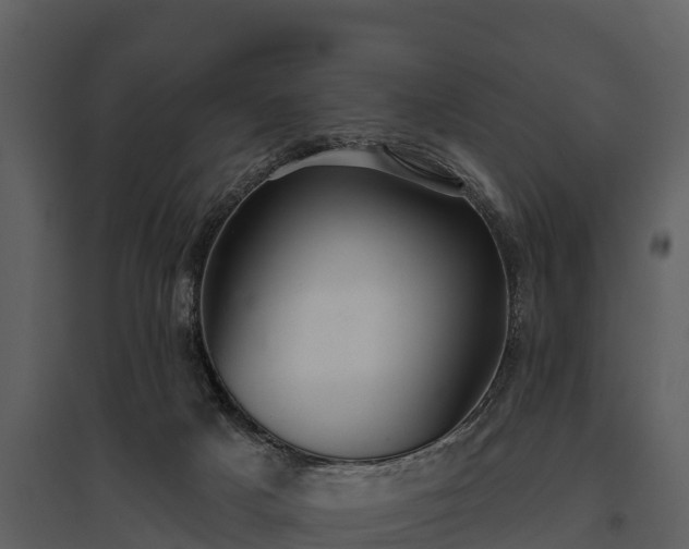 X0000095680025200801151136