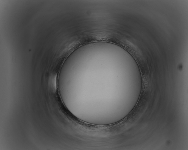 X0000095680028200801151136