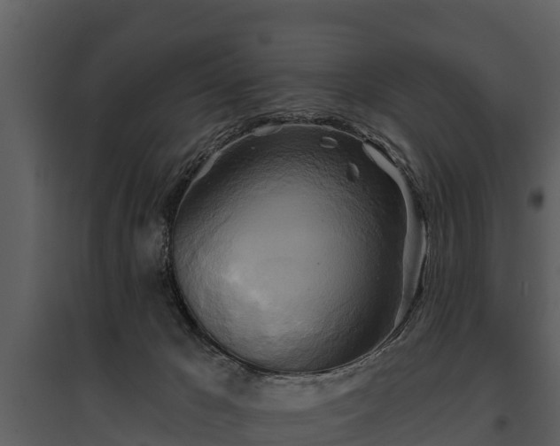 X0000095680029200801151136