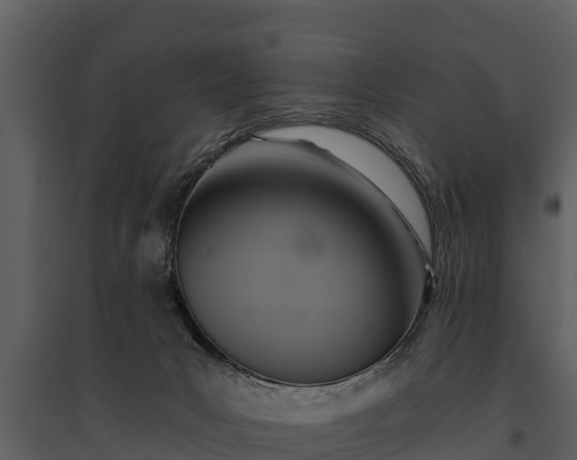 X0000095680031200801151136