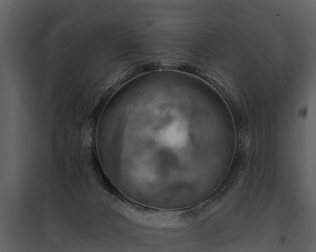 X0000095680032200801151136