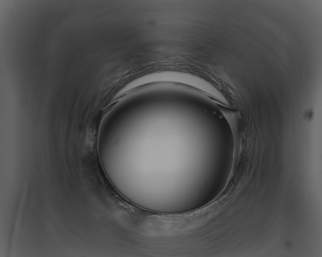 X0000095680033200801151135