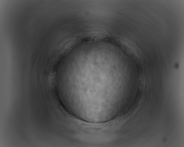 X0000095680034200801151135