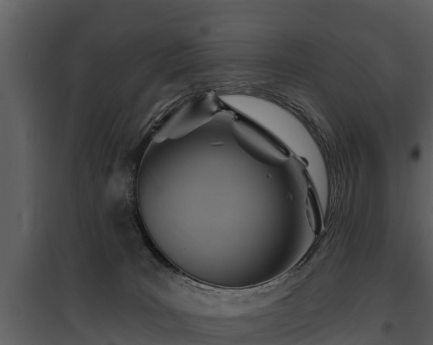 X0000095680035200801151135