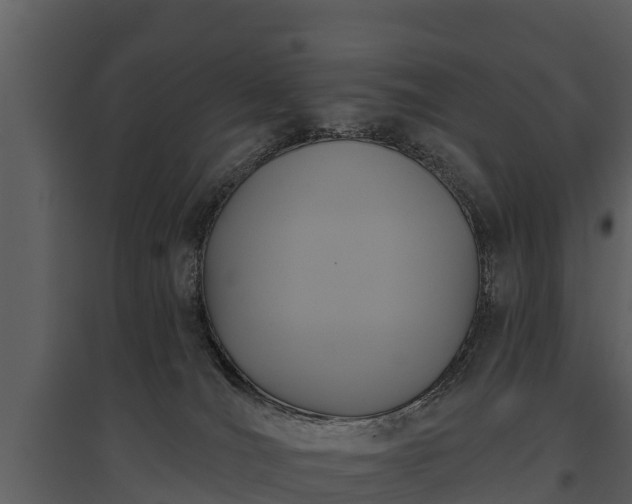 X0000095680036200801151135