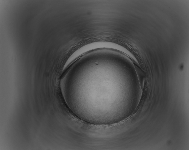 X0000095680037200801151135