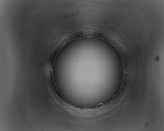 X0000095680038200801151135